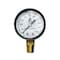 Thrifco Plumbing 100# Water Test Gauge 4402333 - alternate 1
